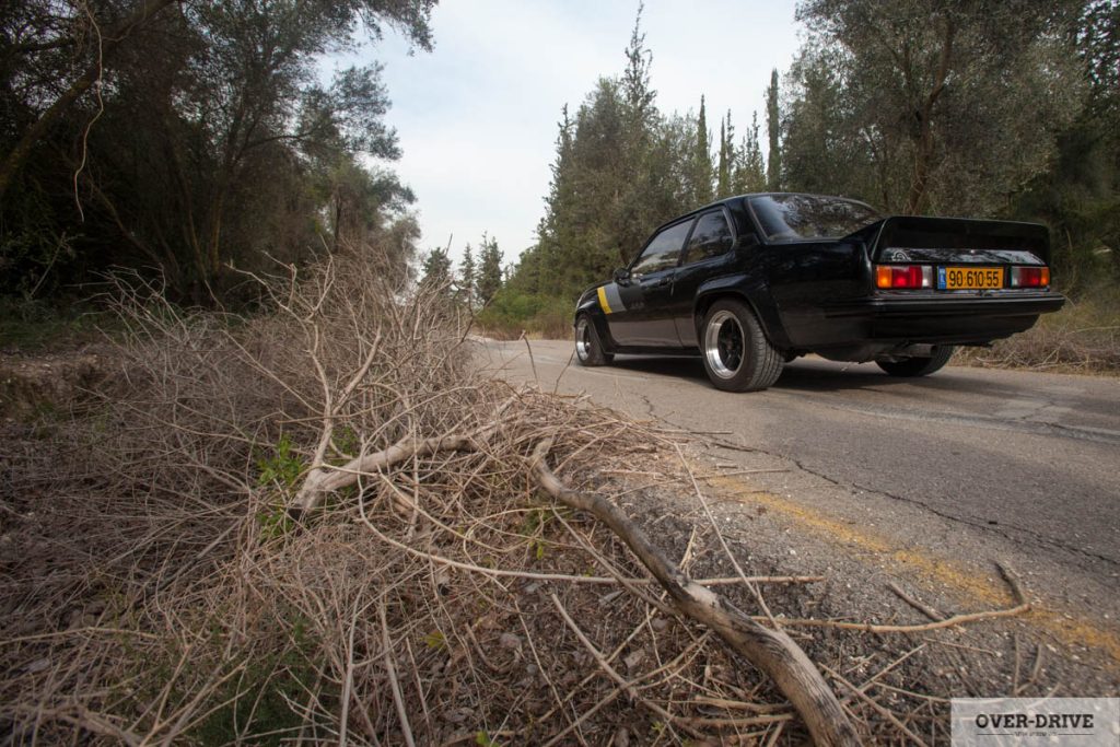 מסדר כנפיים