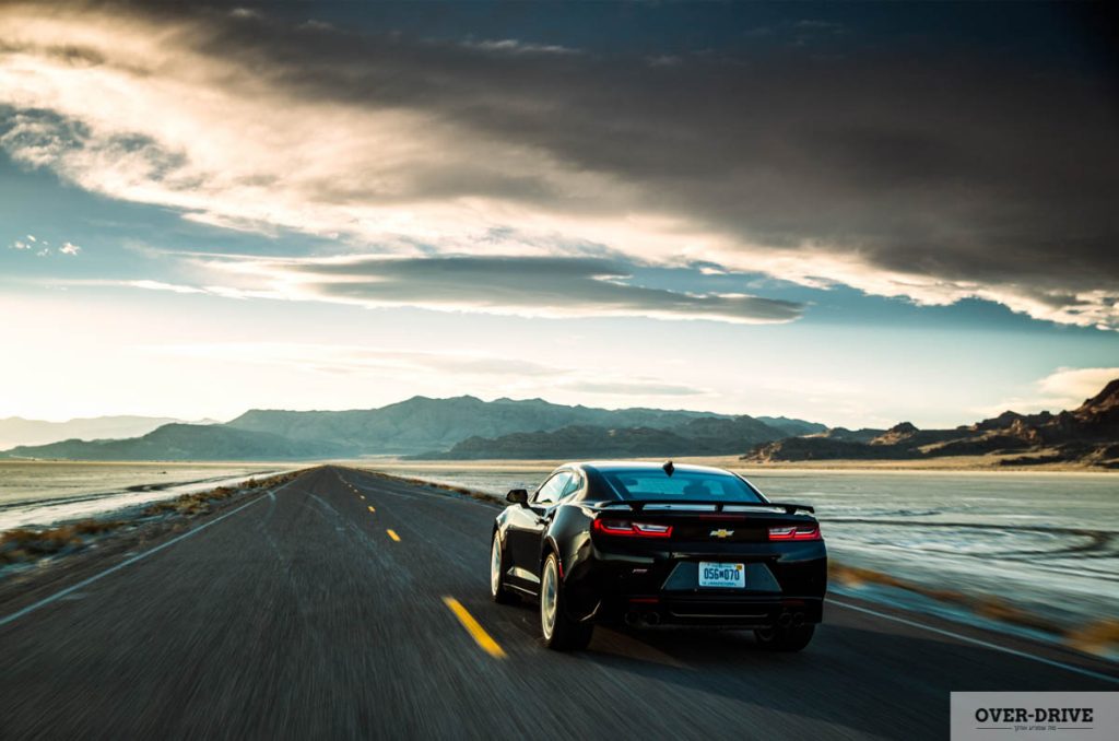 בסוף היא הגיעה