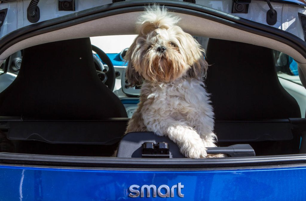 סמארט פורטו