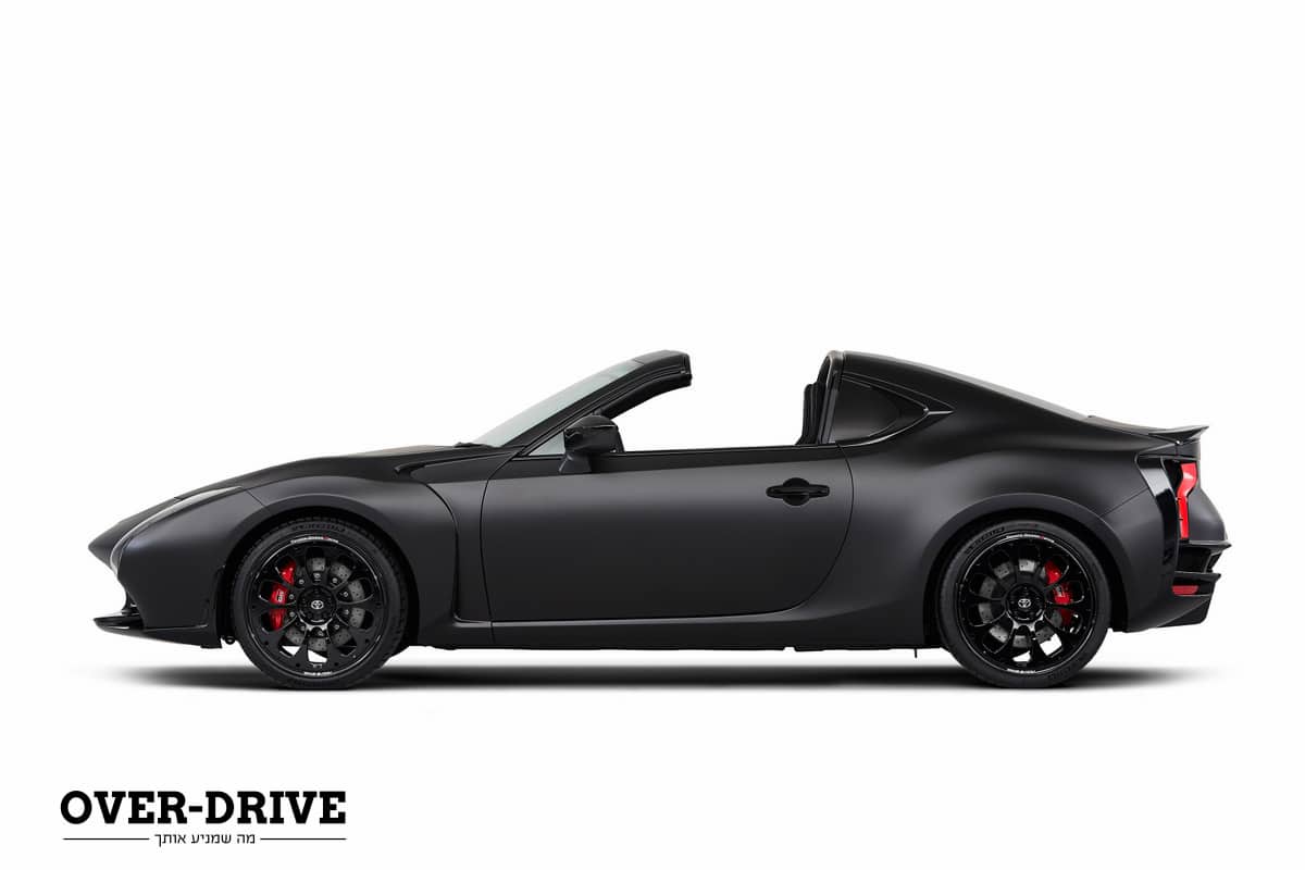 תערוכת טוקיו 2017