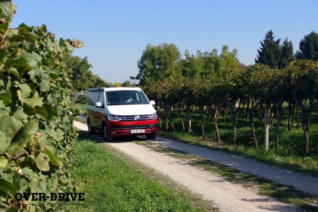 פולקסווגן קליפורניה