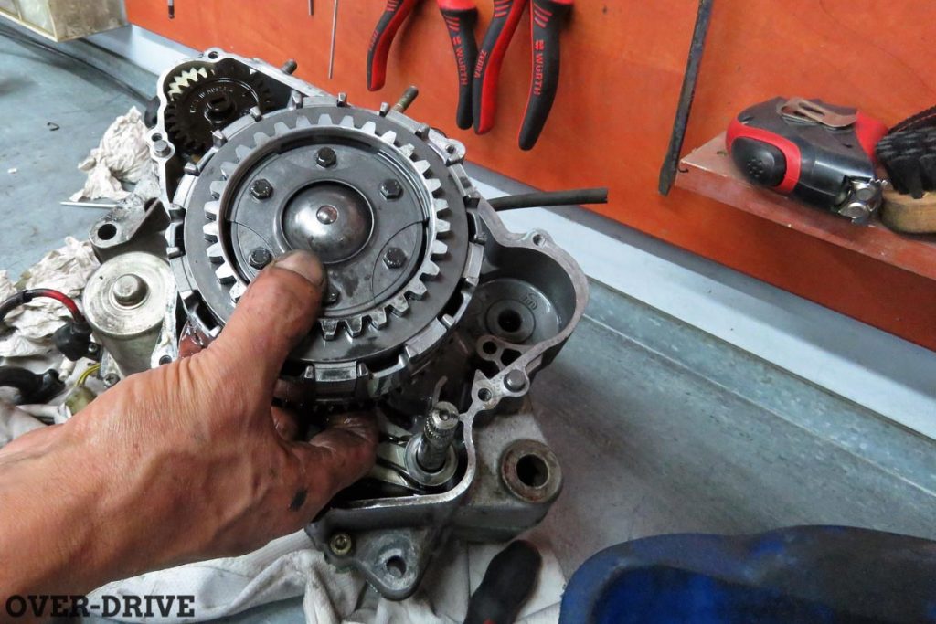 פרויקט מסלול (דיווח 2): הוא חי!