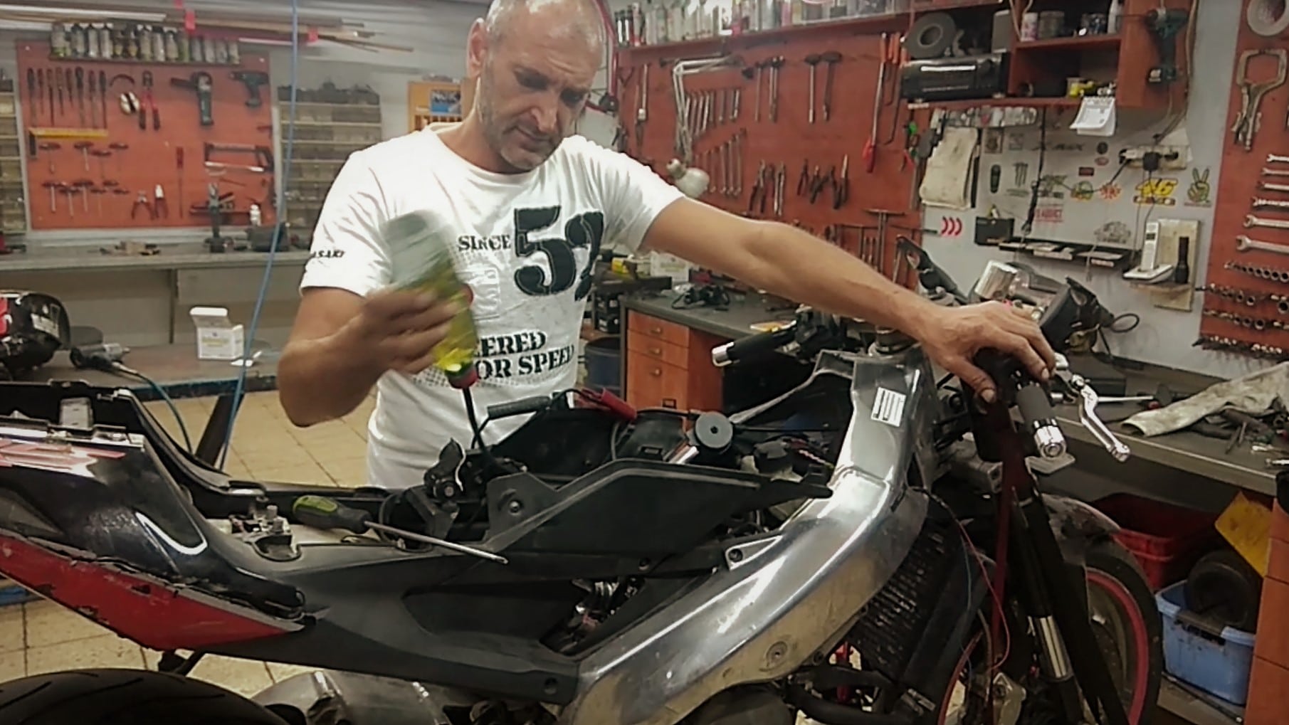 פרויקט מסלול (דיווח 2): הוא חי!