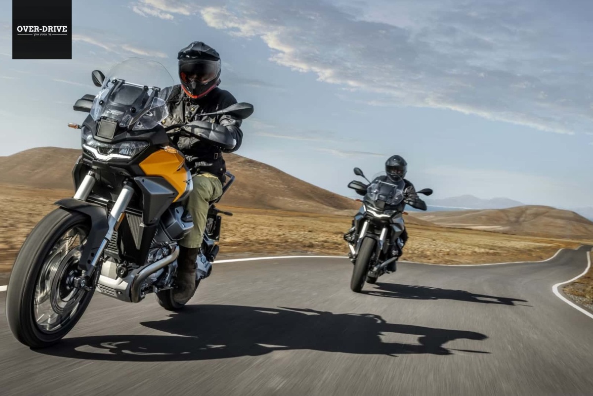 מוטו גוצי סטלביו